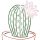 My Go-To Comfort Essentials (That Actually Get Used) – The Cactus Rose Avatar