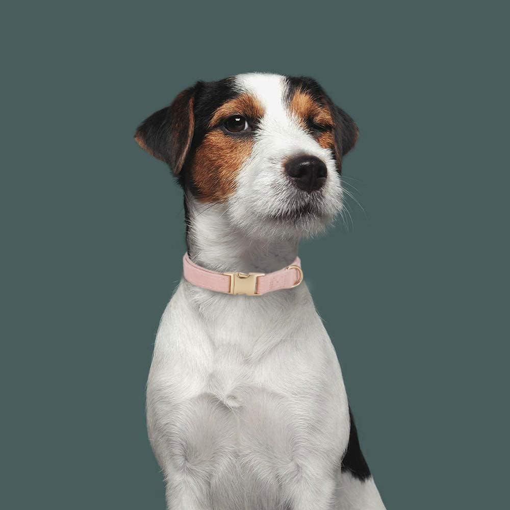 Soft Corduroy Dog Collar and Leash Set Adjustable Durable Dog Collars with Metal Buckle and Lead for Female Medium Dogs