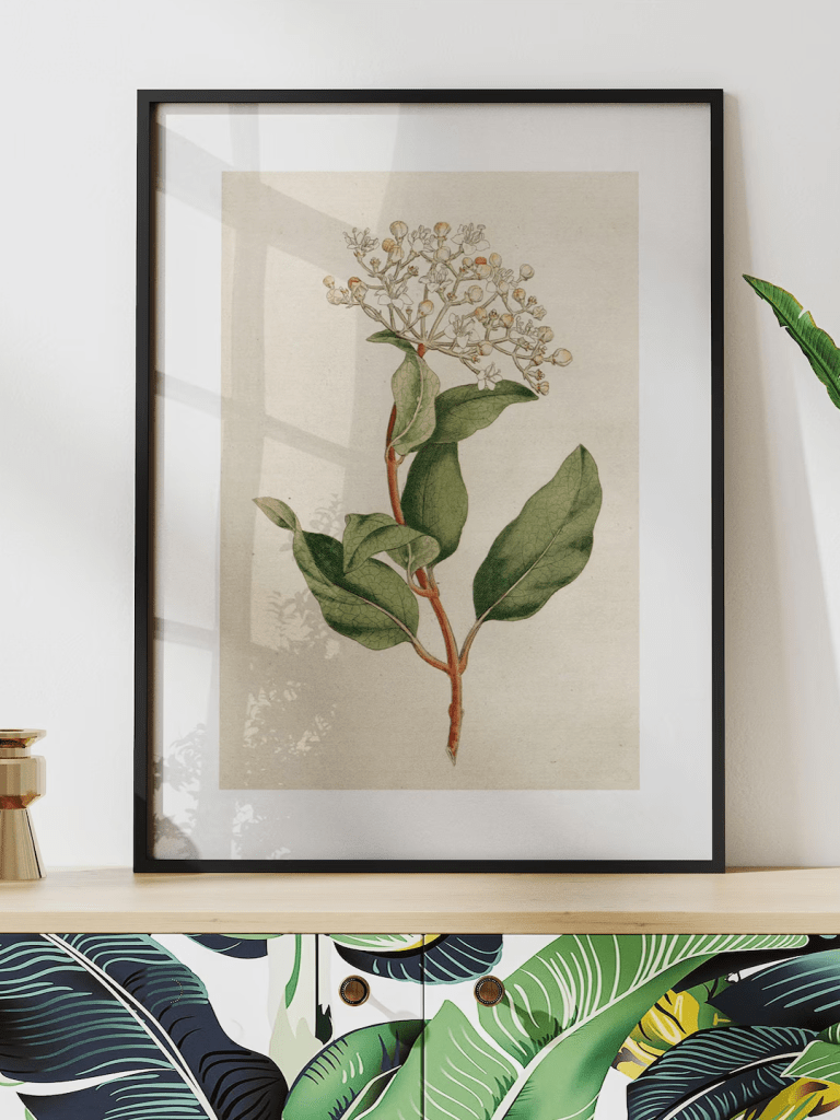 Framed Botanical Print Set of 3 – Antique Flower Illustrations
