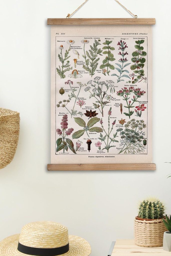 XIAOAIKA Vintage Botanical Herbs Illustration Poster - Retro Medicinal Plant Chart with Wooden Frame - Educational Herbal Reference for Home, Kitchen, or Classroom Decor 16 x 23 Inches