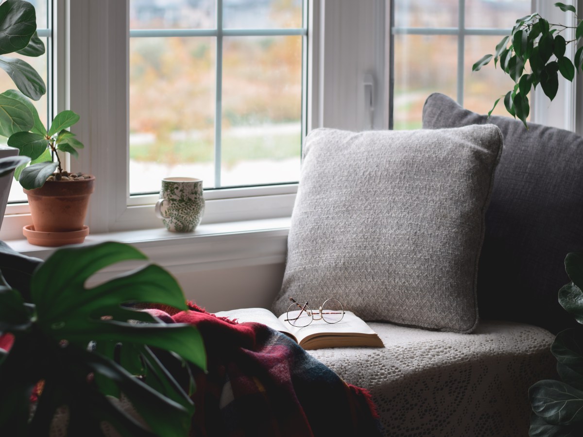Best Cozy Gifts for Book Lovers: Reading Essentials That Earn Their&nbsp;Place